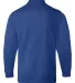 5204 C2 Sport  Youth Long Sleeve T-Shirt Royal back view