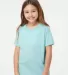 0235TC Tultex Youth Fine Jersey Tee in Heather purist blue front view