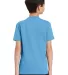 DT5000Y District® Youth The Concert Tee Aquatic Blue back view