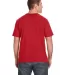 Anvil 980 Lightweight T-shirt by Gildan in Heather red back view