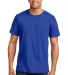 Anvil 980 Lightweight T-shirt by Gildan in Royal front view