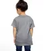 T3930  Fruit of the Loom Toddler's 5 oz., 100% Hea Athletic Heather back view