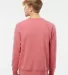 PRM30SBC Independent Trading Co. Unisex Special Bl Pomegranate back view