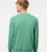PRM30SBC Independent Trading Co. Unisex Special Bl Sea Green back view