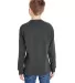 8219 J. America - Youth Game Day Jersey in Charcoal heather back view
