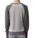 8927 J. America Women's Zen Fleece Raglan Sleeve C Cement/ Dark Smoke back view