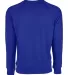Next Level N9000 Unisex Terry Raglan Pullover ROYAL back view