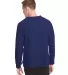 Next Level N9000 Unisex Terry Raglan Pullover COOL BLUE back view