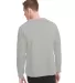 Next Level N9000 Unisex Terry Raglan Pullover OATMEAL back view