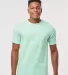 0290TC Tultex Unisex Ring-Spun Cotton Tee 290 in Light mint front view