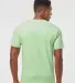 0290TC Tultex Unisex Ring-Spun Cotton Tee 290 in Neo mint back view