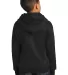 P470 Hanes Youth EcoSmart Pullover Hooded Sweatshi Black back view