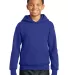 P470 Hanes Youth EcoSmart Pullover Hooded Sweatshi Deep Royal front view