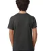 Next Level 3312 Boys CVC Crew Tee in Charcoal back view