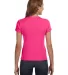 1441 Anvil Ladies' 1x1 Baby Rib Scoop T-Shirt in Hot pink back view