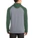 DT128 District Young Mens 50/50 Raglan Hoodie He ForGn/HNckl back view