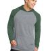 DT128 District Young Mens 50/50 Raglan Hoodie He ForGn/HNckl front view
