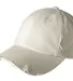 District DT600 Distressed Dad Hat Stone front view