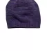 DT620 District Spaced-Dyed Beanie  Purple/Charcol front view