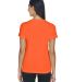 UltraClub 8620L Ladies' Cool & Dry Basic Performa in Bright orange back view