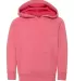 Independent Trading Co. PRM10TSB Toddler Hoodie Pomegranate front view