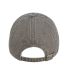 Authentic Pigment 1910 Pigment-Dyed Dad Hat in Mocha back view