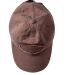 Authentic Pigment 1917 Raw-Edge Dad Hat in Java front view