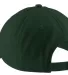 Port & Company CP77 Brushed Twill Dad Hat  Hunter back view
