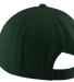 Port & Company CP78 Washed Dad Hat  Hunter back view
