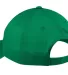 Port & Company CP80 Six-Panel Twill Cap Kelly Green back view