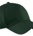 Port & Company CP86 Five-Panel Twill Cap Hunter front view