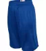 5209 C2 Sport Youth Mesh 6 Short Royal side view