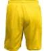 5209 C2 Sport Youth Mesh 6 Short Gold back view