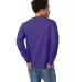 5586 Hanes® Long Sleeve Tagless 6.1 T-shirt - 558 Purple back view