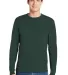 5586 Hanes® Long Sleeve Tagless 6.1 T-shirt - 558 Deep Forest front view