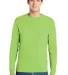 5586 Hanes® Long Sleeve Tagless 6.1 T-shirt - 558 Lime front view
