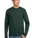 Hanes 5586 Long Sleeve 6.1 T-shirt - 5586  in Deep forest