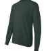 Hanes 5586 Long Sleeve 6.1 T-shirt - 5586  in Deep forest