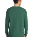 Port & Company PC099LS Pigment-Dyed Long Sleeve Te NordicGrn back view