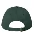 9910 Sportsman  - Structured Brushed Cotton Twill  Forest back view