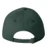 9610 Sportsman  - Heavy Brushed Twill Cap -  Forest back view