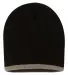 SP09 Sportsman  - 8 Inch Bottom Striped Knit Cap - Black/ Taupe front view