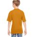 791  Augusta Sportswear Youth Performance Wicking  in Gold back view