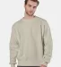 Champion S1049 Logo Reverse Weave Pullover Sweatsh in Sand front view