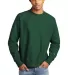 Champion S1049 Logo Reverse Weave Pullover Sweatsh in Dark green front view