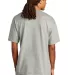 Champion T105 Logo Heritage Jersey T-Shirt Oxford Grey back view
