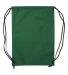 Liberty Bags A136 Non-Woven Drawstring Backpack FOREST GREEN back view