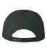 Valucap VC100 Twill Cap Forest back view