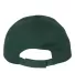 Valucap VC200 Brushed Twill Cap Forest back view