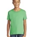 Gildan 64500B SoftStyle Youth Short Sleeve T-Shirt in Hthr irish green front view